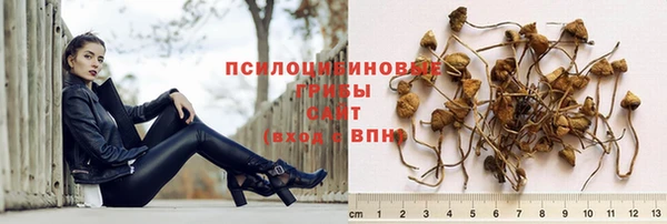 каннабис Горняк