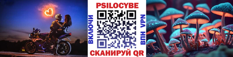 наркота  Дно  Псилоцибиновые грибы ЛСД 