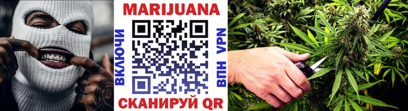 Каннабис семена  Дно 